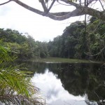 Nascente do Rio do Sul no interior do Parque Nacional do Descobrimento  O Brasil tem duas novas unidades de conservação ambiental: a Reserva Biológica Bom Jesus (PR) e o Parque Nac